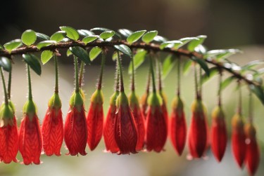 深圳宝安私人快速借钱网，轻松解决资金难题