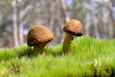 深圳宝安私人老板放款：轻松融资的秘密通道